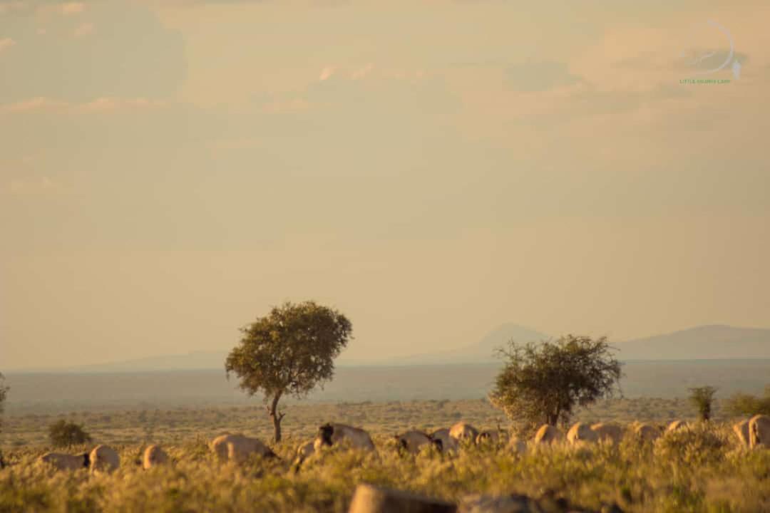 Amanya 3-Bedroom Hut Amboseli Εξωτερικό φωτογραφία